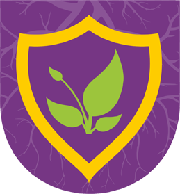 Imagen Destacada del Producto