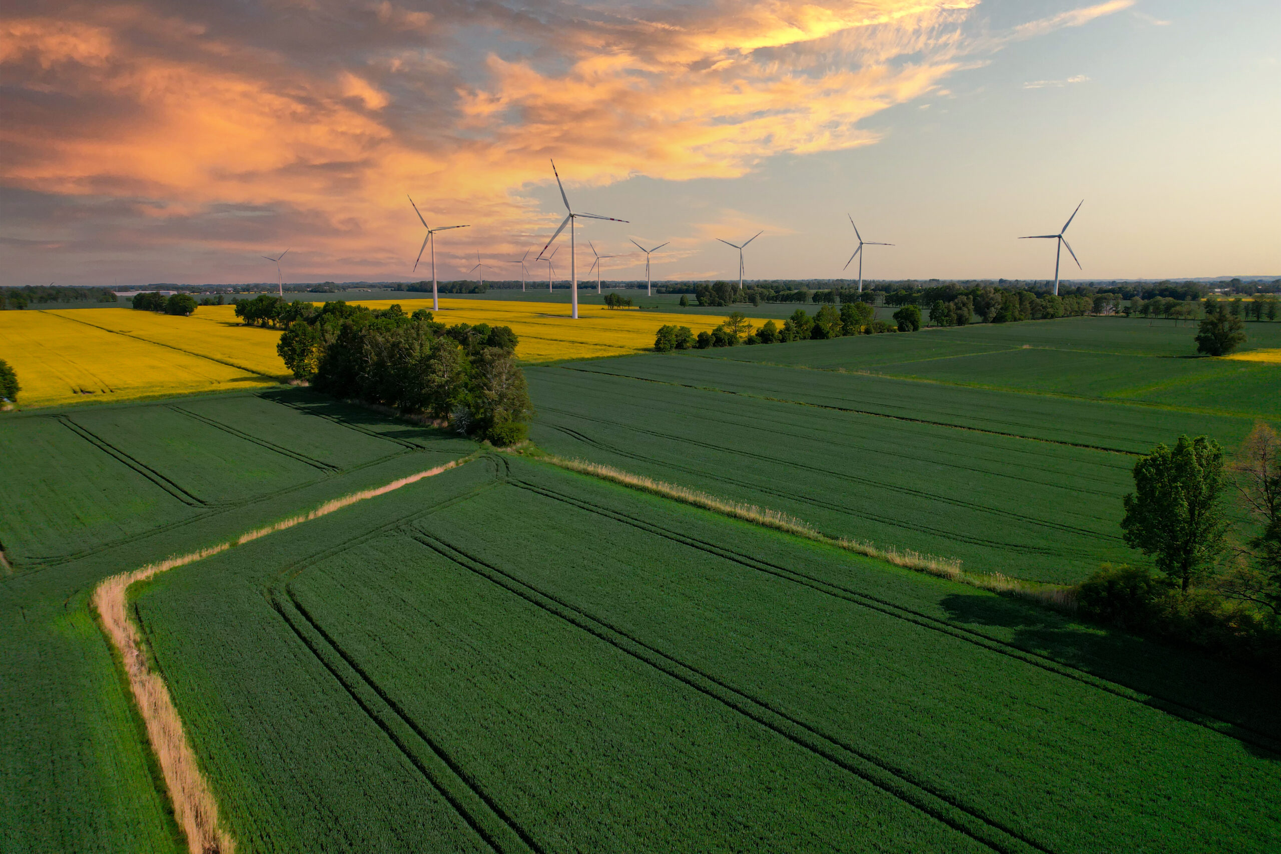 Vista aérea Turbina eólica en campo de canola de granja amarilla cubierta de hierba contra el cielo azul nublado en zona rural. Parque de molinos de viento marinos con nubes en tierras de cultivo Polonia Europa. Planta de energía eólica que genera electricidad. Energía limpia verde renovable