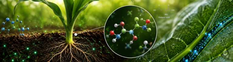 Ácido L-Glutámico: la molécula que conecta el nitrógeno con la fisiología de la planta