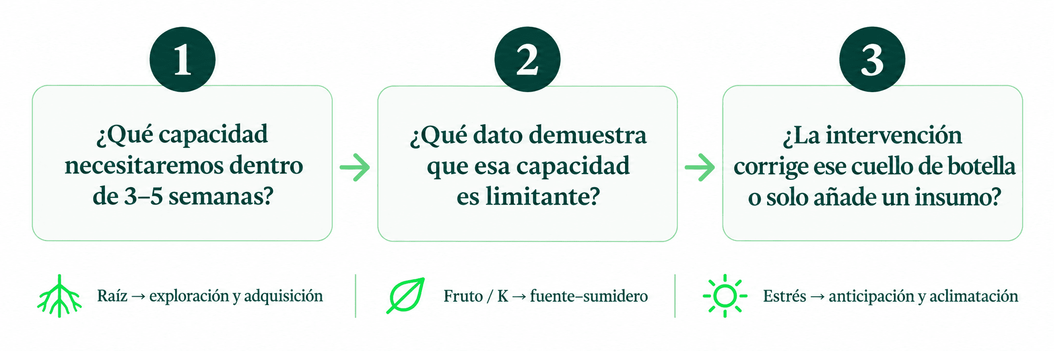 Tres preguntas para identificar un cuello de botella fisiológico antes de intervenir