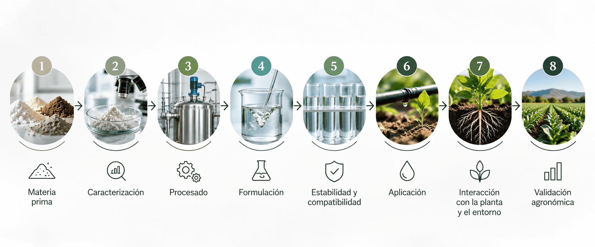 Infografía del proceso desde la materia prima hasta la validación agronómica en campo
