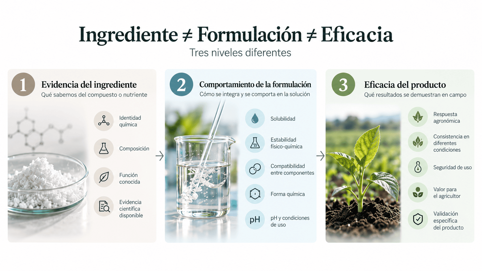 Infografía que diferencia evidencia del ingrediente, comportamiento de la formulación y eficacia demostrada del producto