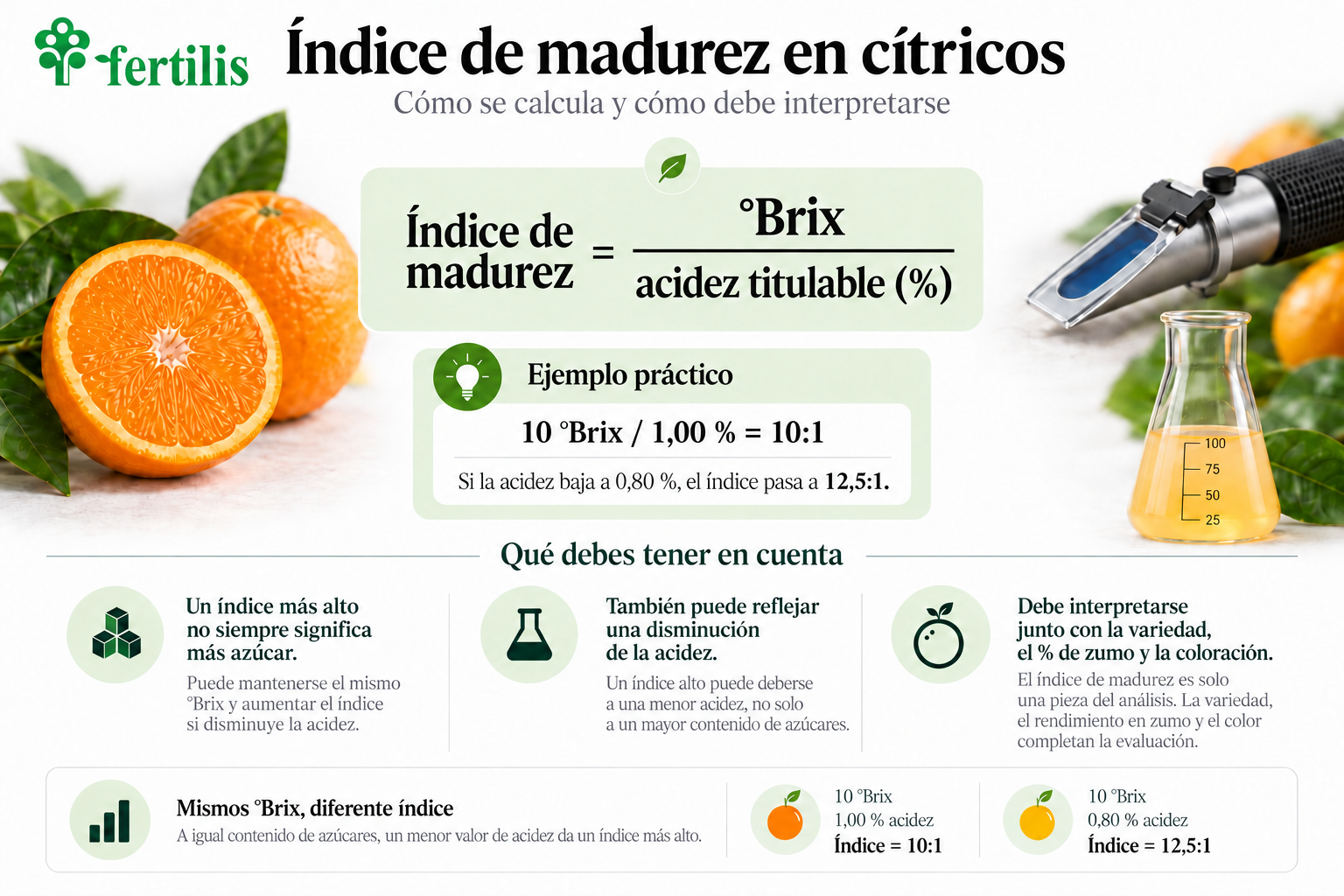 Cómo calcular el índice de madurez en cítricos: grados Brix divididos por acidez titulable, con ejemplos 10 a 1 y 12,5 a 1