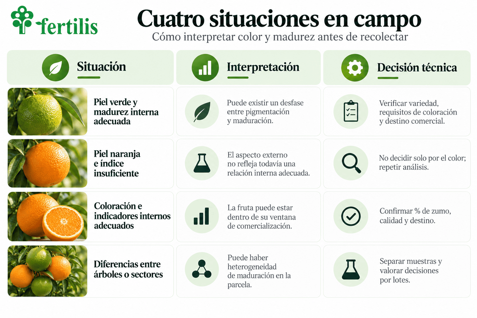 Cuatro situaciones de campo: piel verde con madurez adecuada, piel naranja con índice bajo, fruta lista y heterogeneidad de parcelas